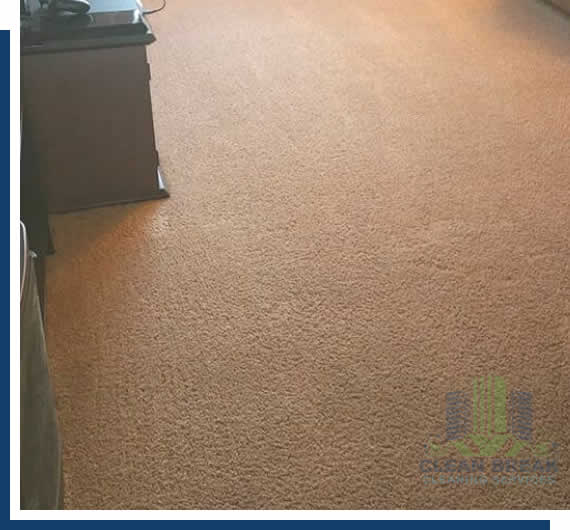 Cleaners - Carpet Cleaning Services