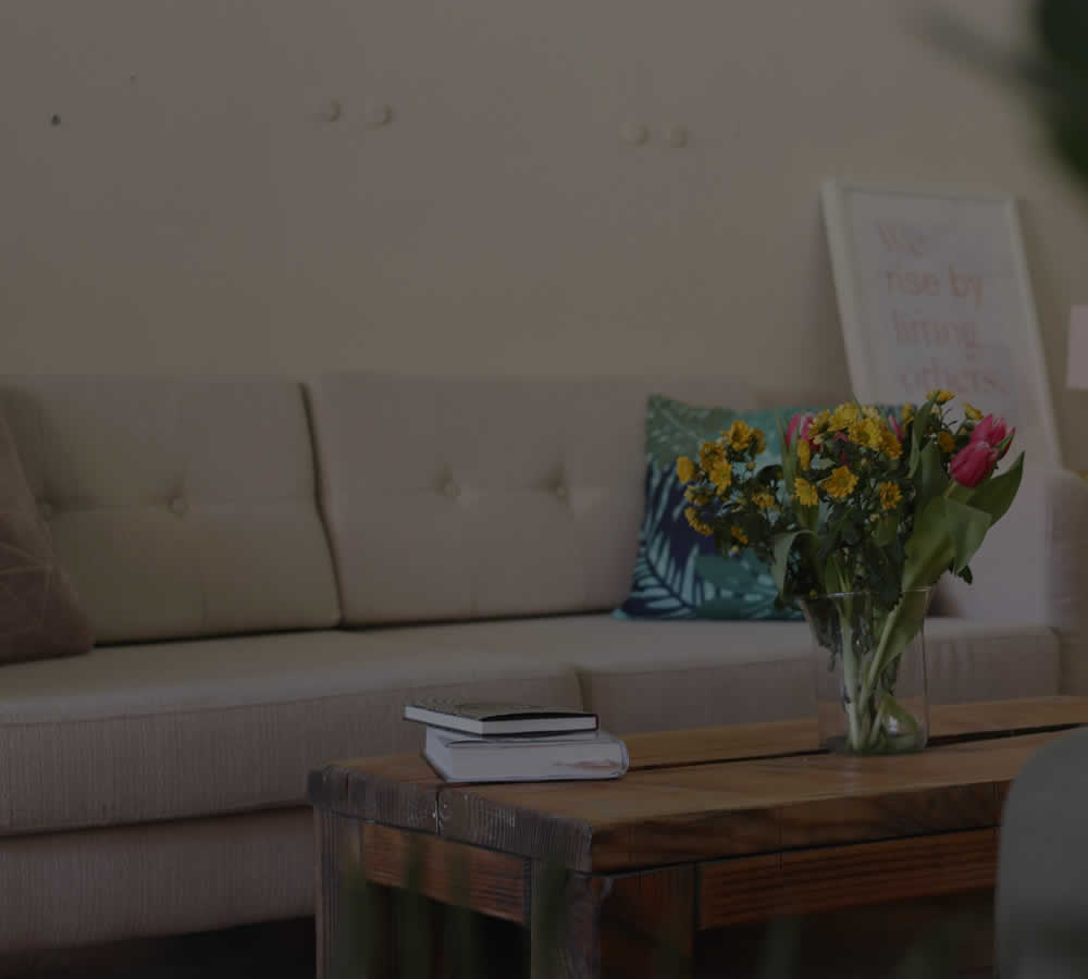 NC Upholstery Cleaning