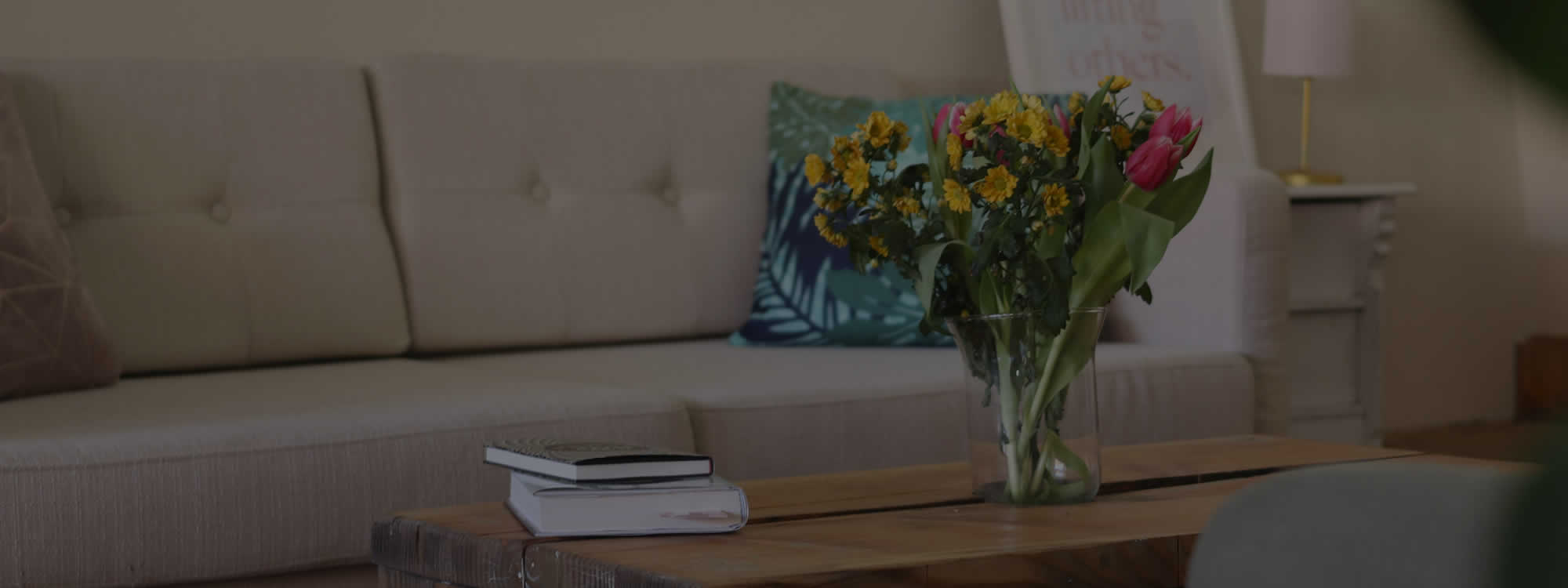 North Carolina Upholstery Cleaning