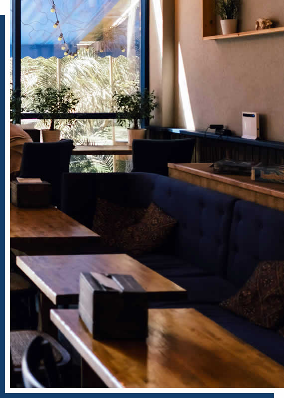 Professional Upholstery Cleaning Services